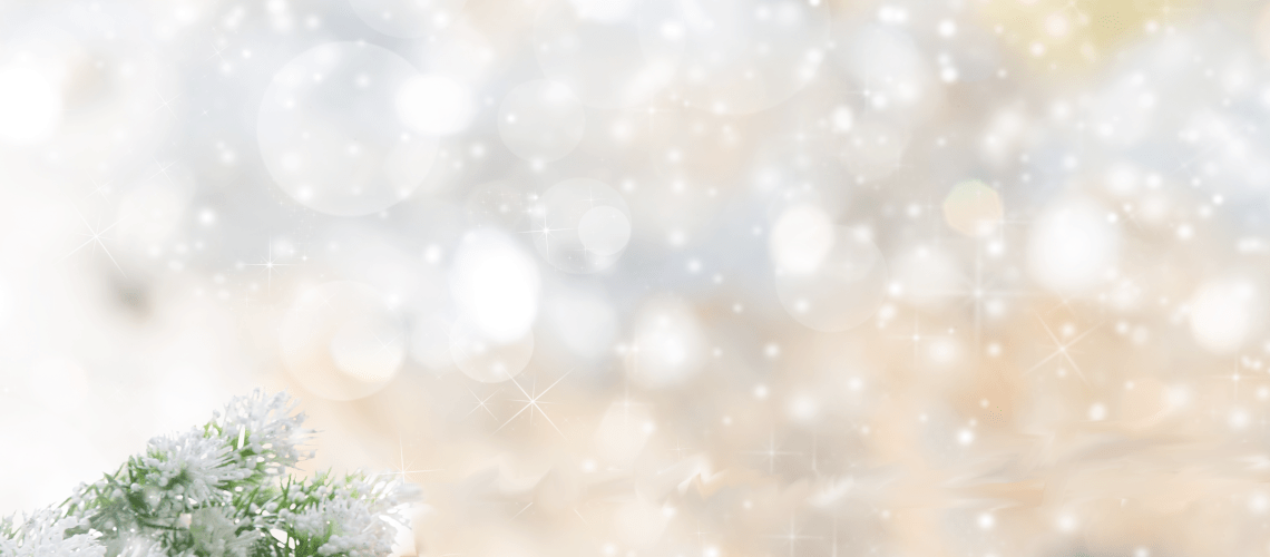 Home 18 Colleyville Lions Club - Christmas Background