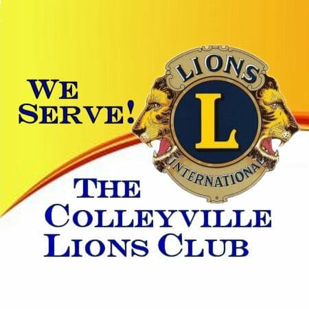 DISTRICT ONE SCROLL MEDAL - Lions Clubs International